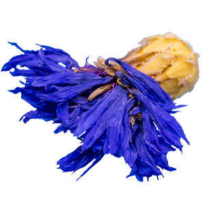 Kornblumenblüten