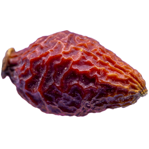 Hagebutten