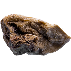 Teufelskralle