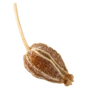 Anissamen