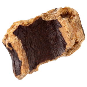 Johannisbrot