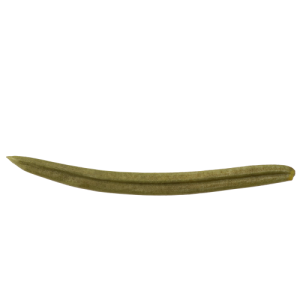 Fichtennadeln