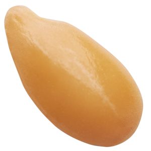 Leinsamen, gelb