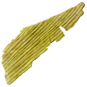 Ginkgoblätter