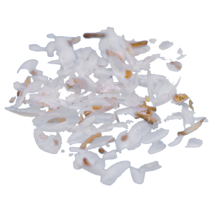Flohsamenschalen
