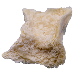 Pastinaken