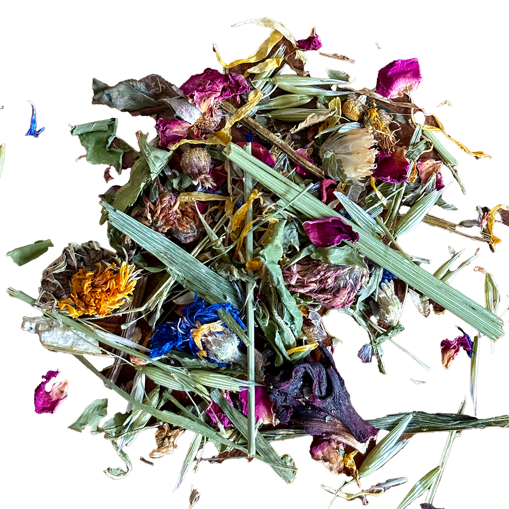 SCHILDIS BLÜTENWIESE MIX