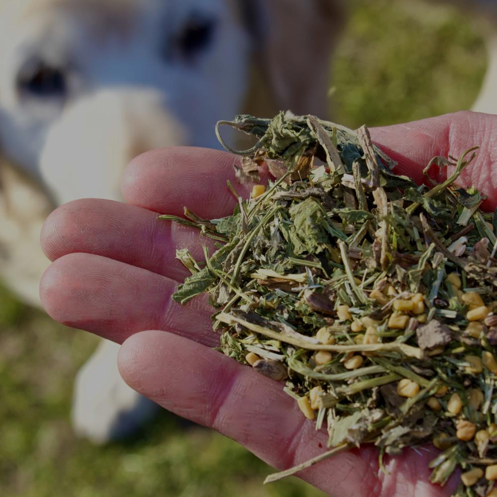 Preview: LUNAS DETOX MIX