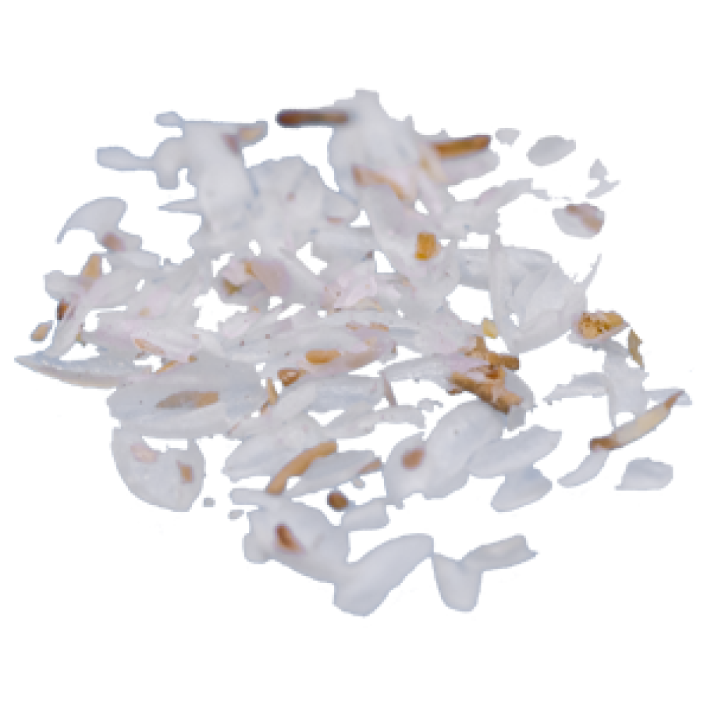 FLOHSAMENSCHALEN