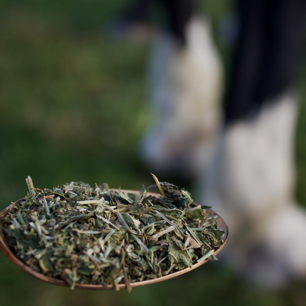 Preview: LOTTES GELENKSTARK MIX