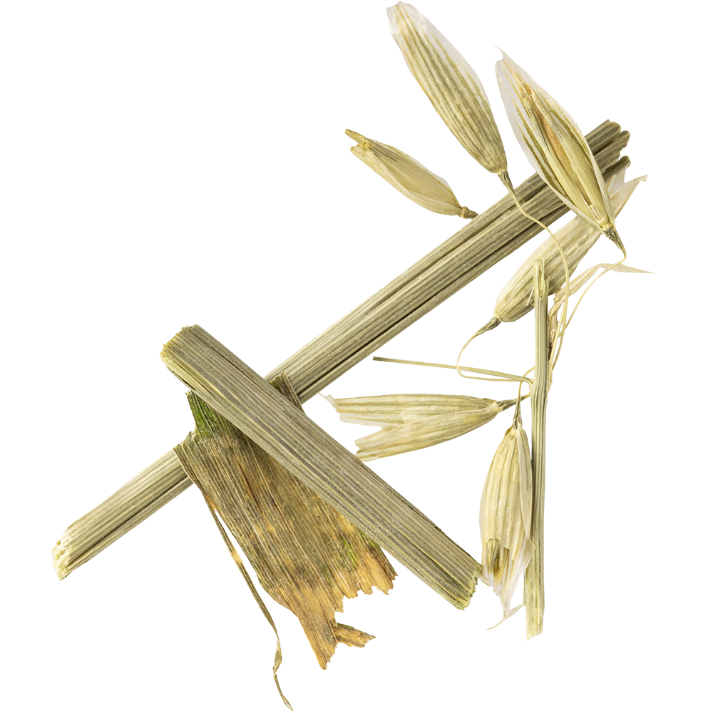 GRÜNER HAFER