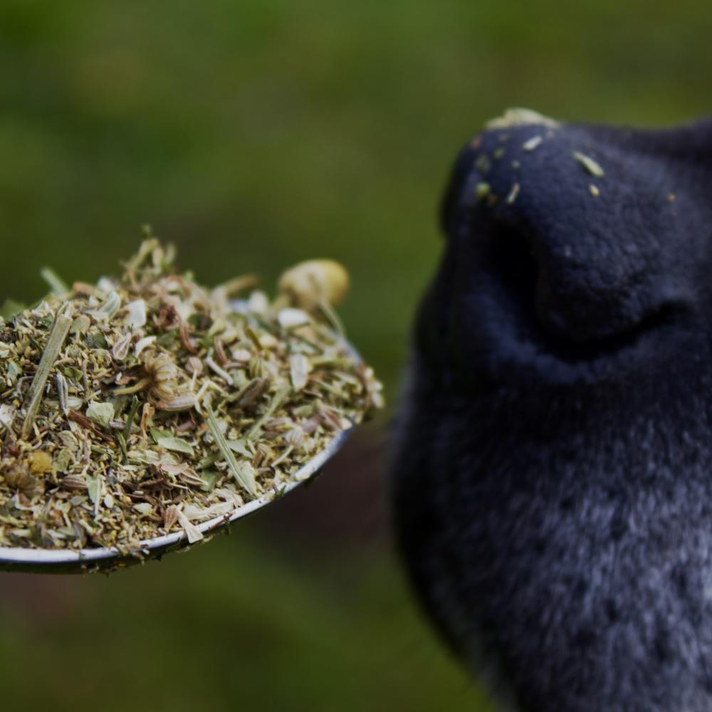 Preview: HUGOS SCHNUTEN MIX