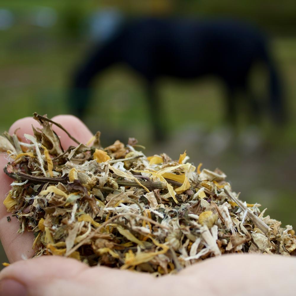 Preview: LORDS MAGENFEIN MIX