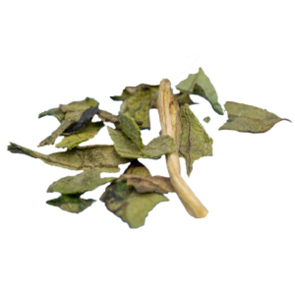 LIEBSTÖCKEL