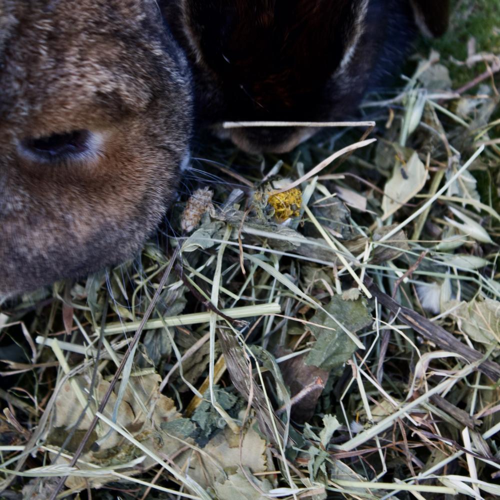 Preview: KALLES NATURPUR MIX