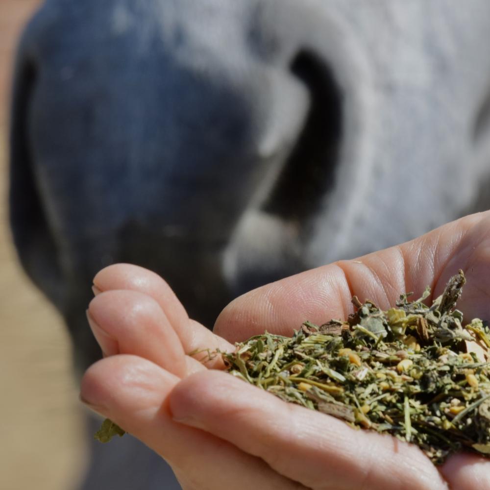 Preview: NALAS DETOX MIX