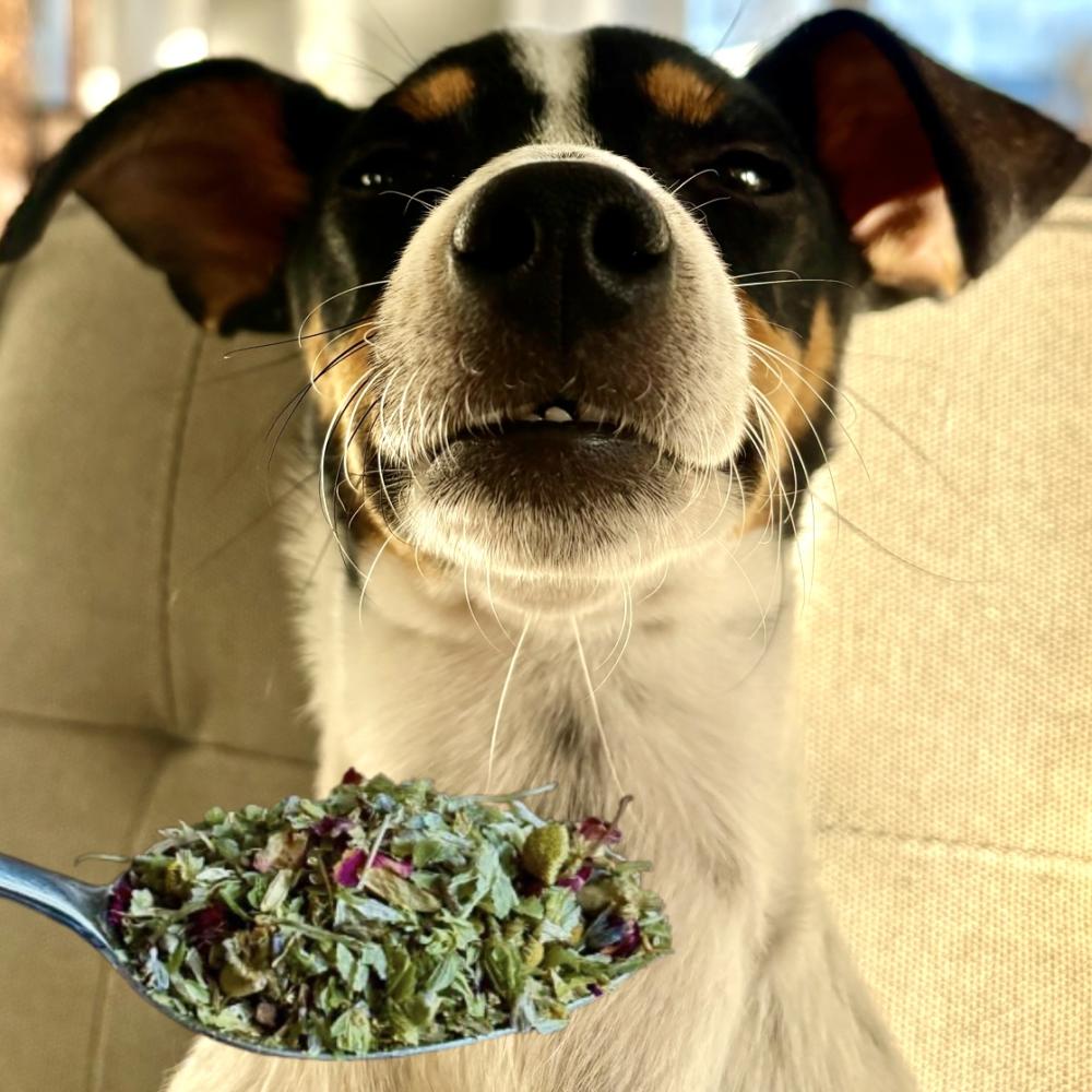 Preview: LEXIS NERVENSTARK MIX