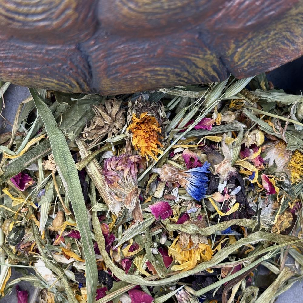 Preview: SCHILDIS BLÜTENWIESE MIX