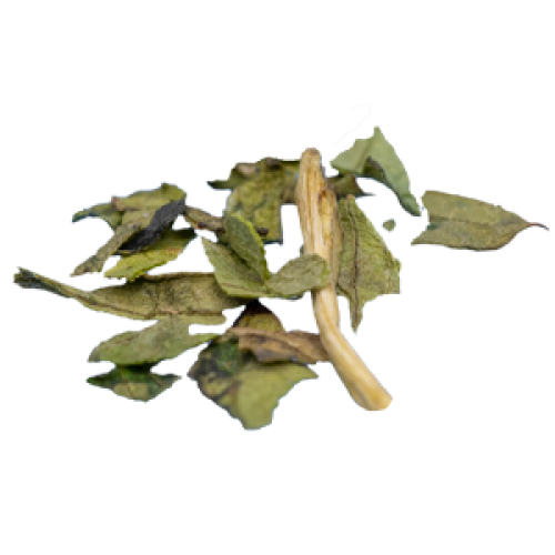LIEBSTÖCKEL
