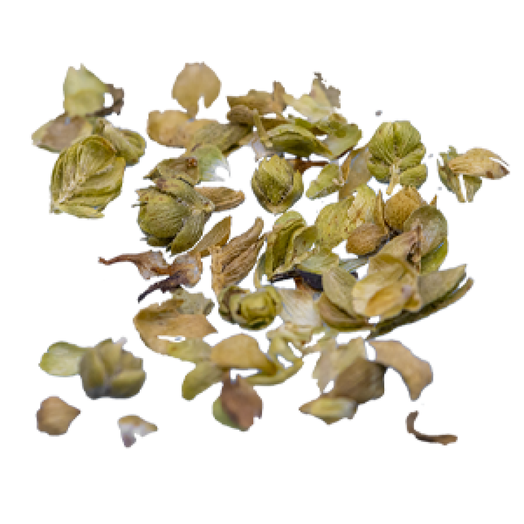 OREGANO