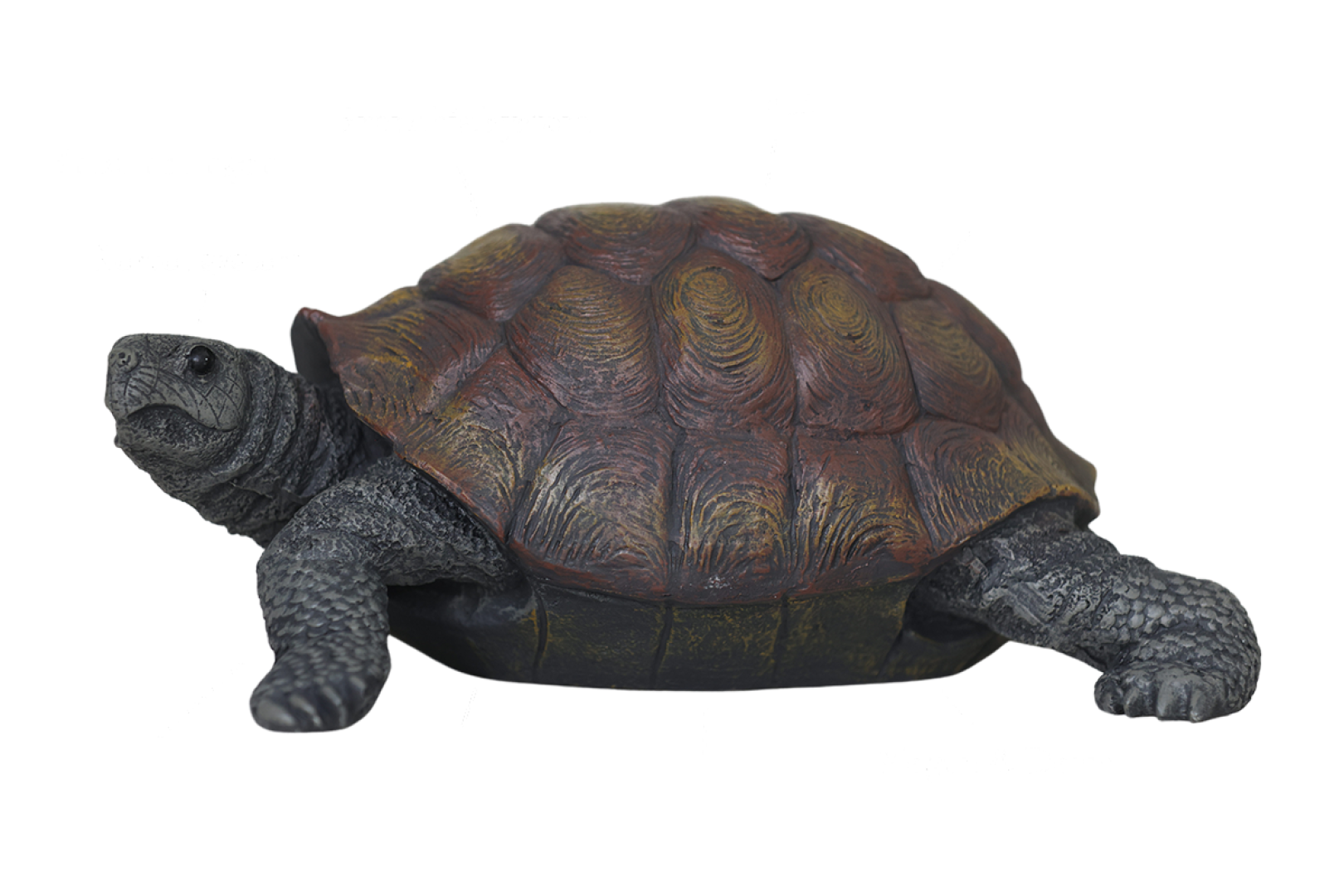 Kräutermixer Reptilien
